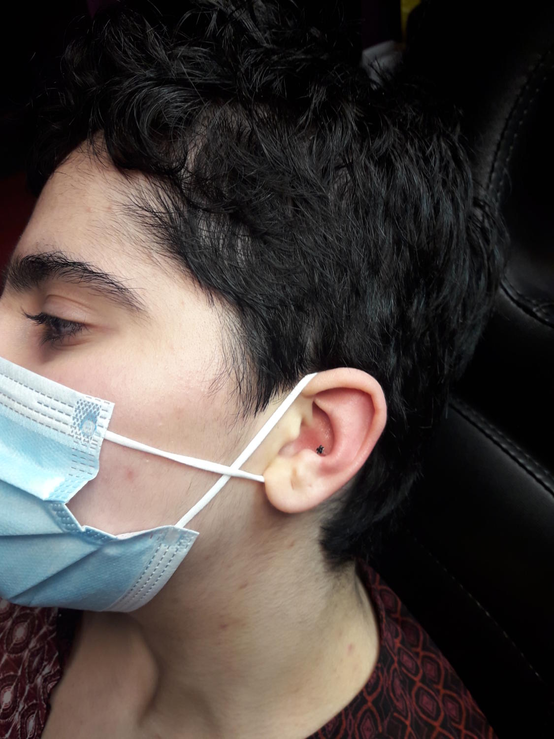 piercing par Dermogenese Tattoo piercing par Dermogenese Tattoo