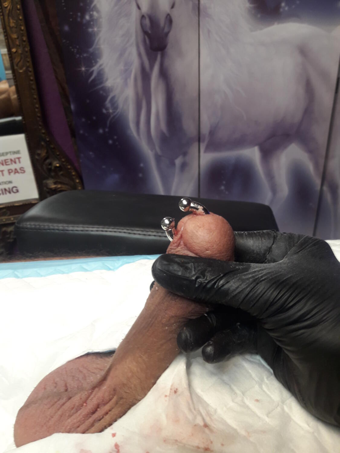 piercing Prince Albert par Dermogenese Tattoo piercing Prince Albert par Dermogenese Tattoo