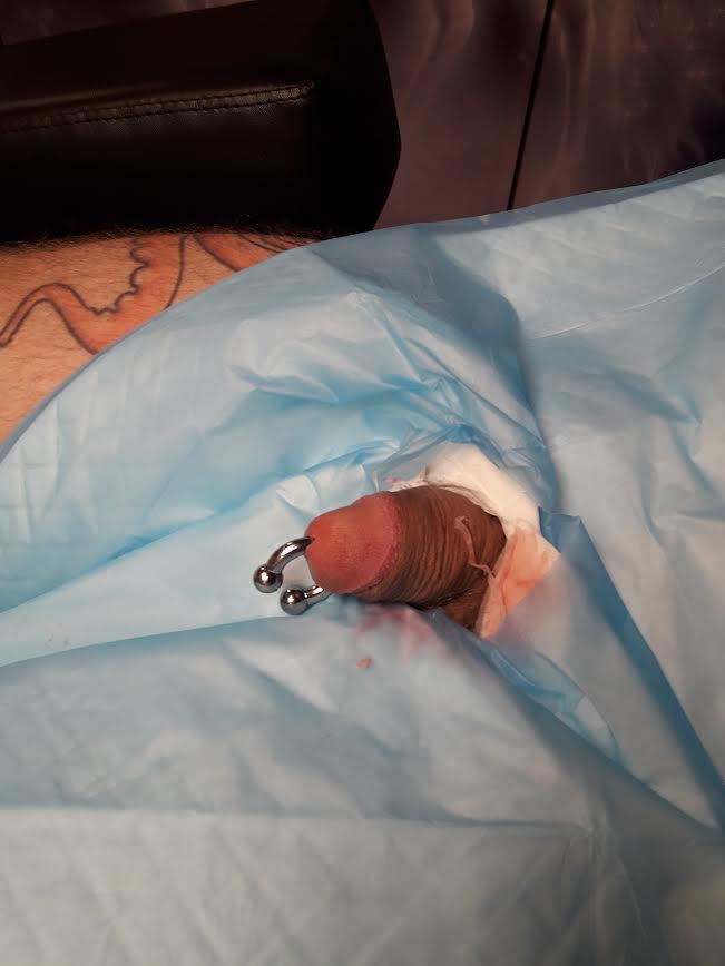 piercing Prince Albert par Dermogenese Tattoo piercing Prince Albert par Dermogenese Tattoo