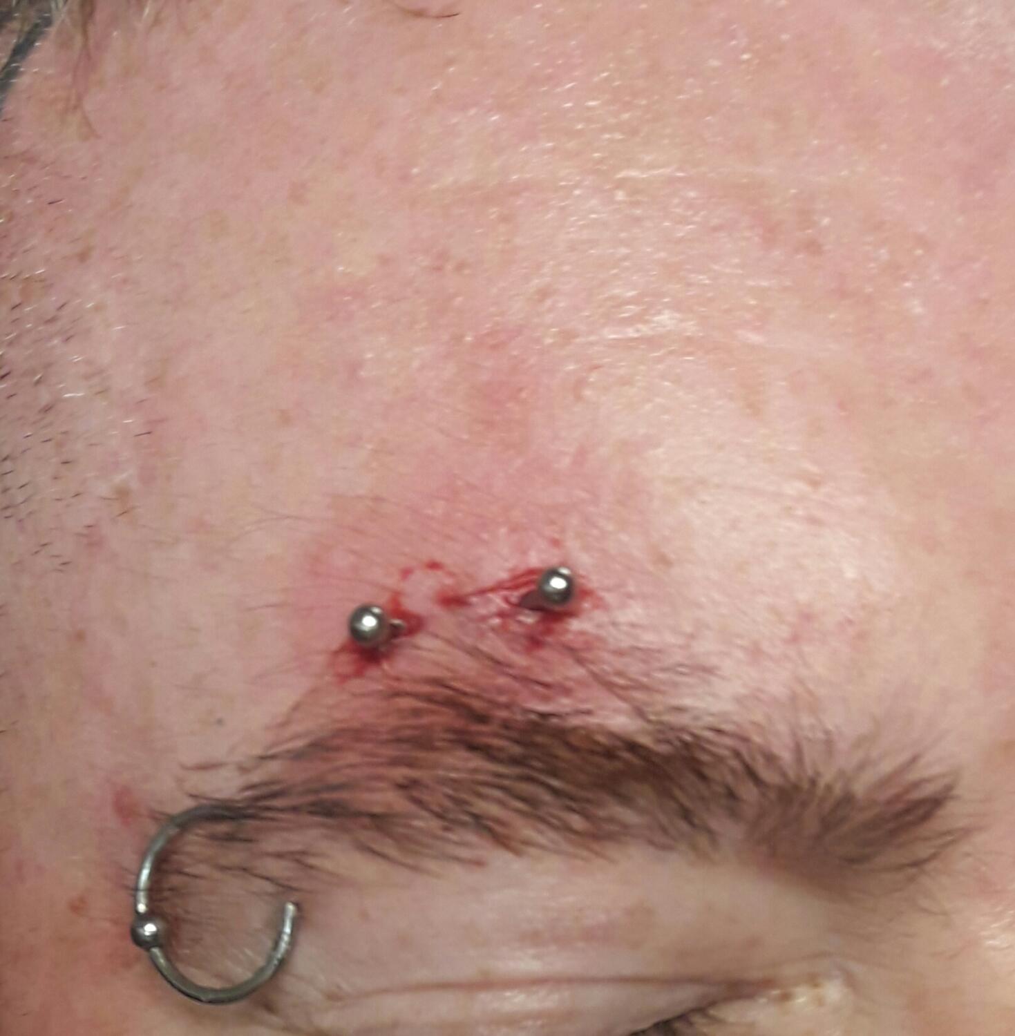 piercing à l’arcade par Dermogenese Tattoo piercing à l'arcade par Dermogenese Tattoo