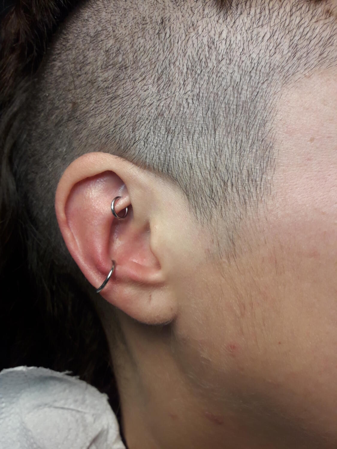 Piercing conch et rook par Dermogenese Tattoo Piercing conch et rook par Dermogenese Tattoo